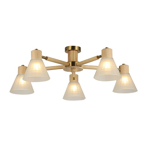 Люстра потолочная Arte Lamp Meleph E27 300 Вт 10 кв.м (A4096PL-5BR)