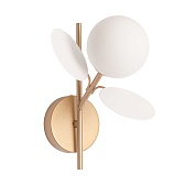 Бра Arte Lamp Peacock G9 40 Вт 220 В золото IP20 (A1369AP-1SG)