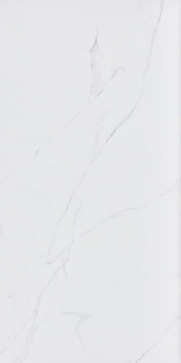 Керамогранит Alma Ceramica Carrara белый матовый 1200x600x8,5 мм (2 шт.= 1,44 кв.м) Керамогранит Alma Ceramica Carrara белый матовый 1200x600x8,5 мм (2 шт.= 1,44 кв.м)