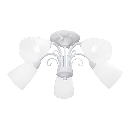 Люстра потолочная Vitaluce V3499 E14 200 Вт 10 кв.м (V3499-0/5PL)