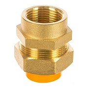 Муфта Stahlmann 25 мм х 3/4 ВР(г) латунь (SSFG2003/4BGZ) Муфта Stahlmann 25 мм х 3/4 ВР(г) латунь (SSFG2003/4BGZ)