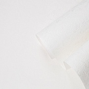 Обои под покраску вспененный винил на флизелиновой основе фактурные Palitra Home Colorist 426-01 (1,06х25 м) плотность 105 г/кв.м