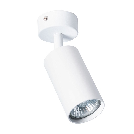 Спот потолочный Arte Lamp Aquarius GU10 35 Вт 1 кв.м белый IP20 (A3216PL-1WH)