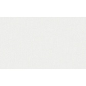 Обои под покраску виниловые на флизелиновой основе фактурные антивандальные Erismann Defender 2922-1 (1,06х25 м) плотность 106 г/кв.м