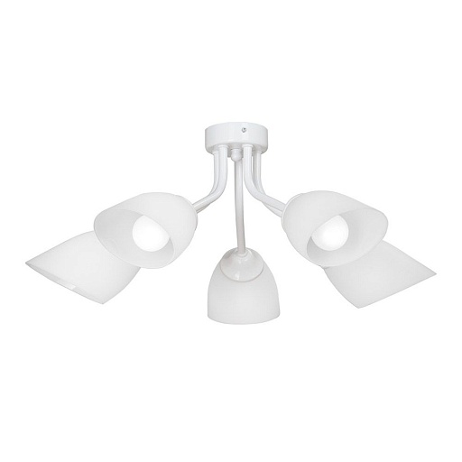 Люстра потолочная Vitaluce V3184 E14 200 Вт 10 кв.м (V3184/5PL)