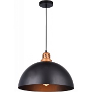 Светильник подвесной Arte Lamp Eurica E27 60 Вт 2 кв.м (A4249SP-1BK)