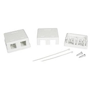 Коробка розеточная для модулей Keystone DKC RJ45 2 гнезда (RNW2WH)