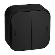 Выключатель Legrand Quteo двухклавишный накладной черный (782474)