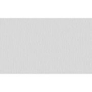 Обои компакт-винил на флизелиновой основе Erismann Dolce 61049-04 (1,06х10,05 м)