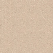 Линолеум коммерческий 2 м Tarkett Tempo Plus 1007 гомогенный Линолеум коммерческий 2 м Tarkett Tempo Plus 1007 гомогенный