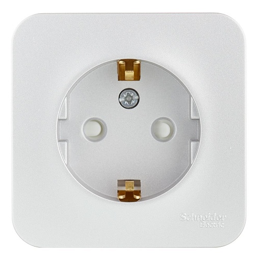 Розетка Schneider Electric Blanca BLNRA011113 открытая установка алюминий с заземлением IP20 со шторками Розетка Schneider Electric Blanca BLNRA011113 открытая установка алюминий с заземлением IP20 со шторками