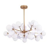 Люстра подвесная Arte Lamp Peacock G9 600 Вт 18 кв.м (A1369SP-15SG)