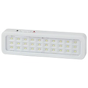 Табло световое аварийное Эра DPA-1 6500К 3 Вт (DBA-105-0-20)