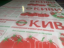 Сотовый поликарбонат КИВИ для теплиц