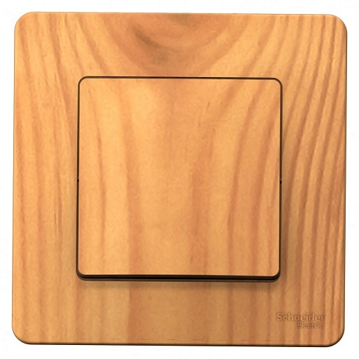 Выключатель Systeme Electric Blanca одноклавишный встраиваемый ясень (BLNVS010105)