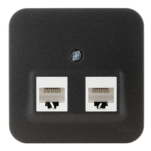 Розетка компьютерная Systeme Electric Blanca накладная антрацит 2хRJ45 (BLNIA045456) Розетка компьютерная Systeme Electric Blanca накладная антрацит 2хRJ45 (BLNIA045456)