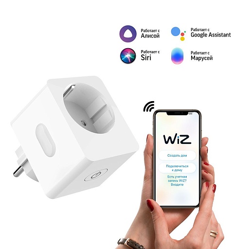 Умная Wi-Fi розетка Gauss Smart Home (5510122) с заземлением управление голосом/смартфоном
