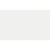 Обои под покраску виниловые на флизелиновой основе фактурные антивандальные Erismann Defender 2920-1 (1,06х25 м) плотность 106 г/кв.м