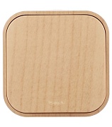 Выключатель Legrand Quteo одноклавишный накладной дерево (782260)