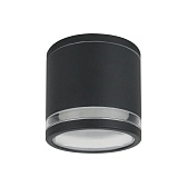 Светильник фасадный настенный Arte Lamp Nunki черный GX53 9 Вт IP65 (A1910PF-1BK)