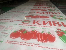 Сотовый поликарбонат КИВИ для теплиц