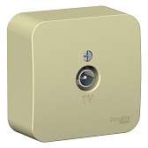 Розетка телевизионная Systeme Electric Blanca накладная бежевая (BLNTA000017)