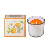 Свеча ароматическая Aromantique Цитрусовый мусс 60 г Свеча ароматическая Aromantique Цитрусовый мусс 60 г