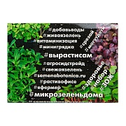 Набор для выращивания микрозелень Рукола АСТ 3,5 г