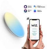 Светильник умный Gauss Smart Home светодиодный настенно-потолочный 25 Вт теплый/холодный 2700-6500 К IP20 d400 мм Светильник умный Gauss Smart Home светодиодный настенно-потолочный 25 Вт теплый/холодный 2700-6500 К IP20 d400 мм