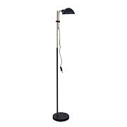 Торшер Arte Lamp E14 60 Вт черный IP20 (A7055PN-1BK)