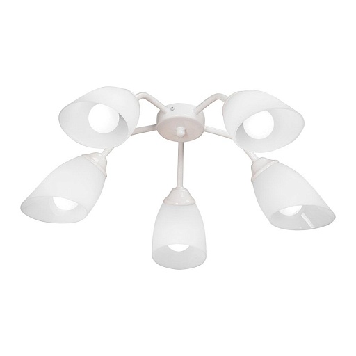 Люстра потолочная Vitaluce V3195 E14 200 Вт 10 кв.м (V3195/5PL)