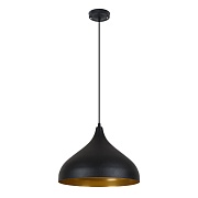 Светильник подвесной Arte Lamp Carmel E14 40 Вт 1 кв.м черный IP20 (A7076SP-1BK)