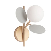 Бра Arte Lamp Peacock G9 40 Вт 220 В золото IP20 (A1369AP-1GY)