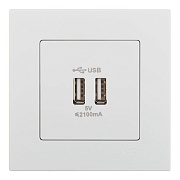 Розетка USB с рамкой GUNSAN Eqona 16401100-100353 скрытая установка белая IP20 два модуля USB