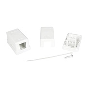Коробка розеточная для модулей Keystone DKC RJ45 1 гнездо (RNW1WH)