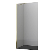 Душевая перегородка Walk in WasserKraft Aisch золото 100х200 см стекло прозрачное 6 мм (55W44)