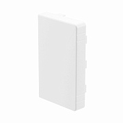 Заглушка для кабель-канала торцевая DKC LAN 100х40 мм белая (2 шт.) (00873R) Заглушка для кабель-канала торцевая DKC LAN 100х40 мм белая (2 шт.) (00873R)