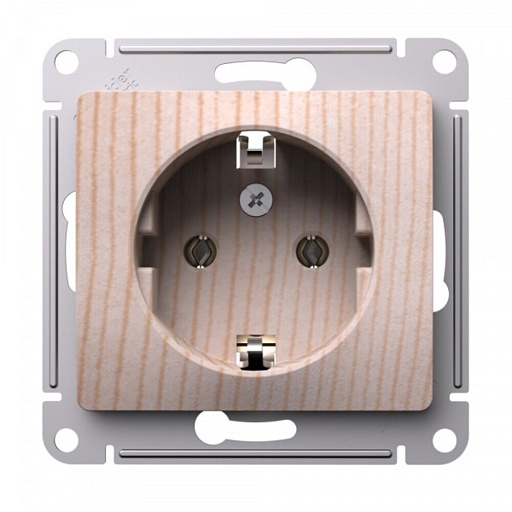 Розетка Systeme Electric Glossa встраиваемая сосна (SE GSL001543) Розетка Systeme Electric Glossa встраиваемая сосна (SE GSL001543)