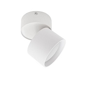 Спот IN HOME НПБ GX53 24 Вт белый IP20 (4690612046303)