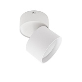 Спот IN HOME НПБ GX53 24 Вт белый IP20 (4690612046303)