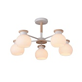 Люстра подвесная Schaffner Lavero E27 300 Вт 18 кв.м (70121-5) Люстра подвесная Schaffner Lavero E27 300 Вт 18 кв.м (70121-5)