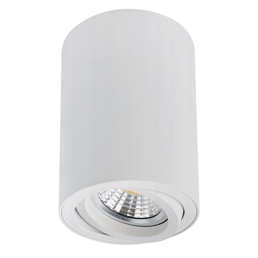 Светильник накладной Arte Lamp Sentry GU10 35 Вт 2 кв.м белый IP20 (A1566PL-1WH) Светильник накладной Arte Lamp Sentry GU10 35 Вт 2 кв.м белый IP20 (A1566PL-1WH)