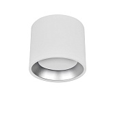 Светильник накладной IN HOME НПБ GX53 24 Вт белый IP20 (4690612046563)